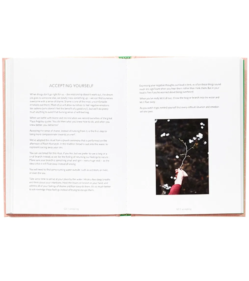 Abrams Books Rituals for Every Day