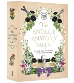 Abrams Books The Antique Anatomy Tarot