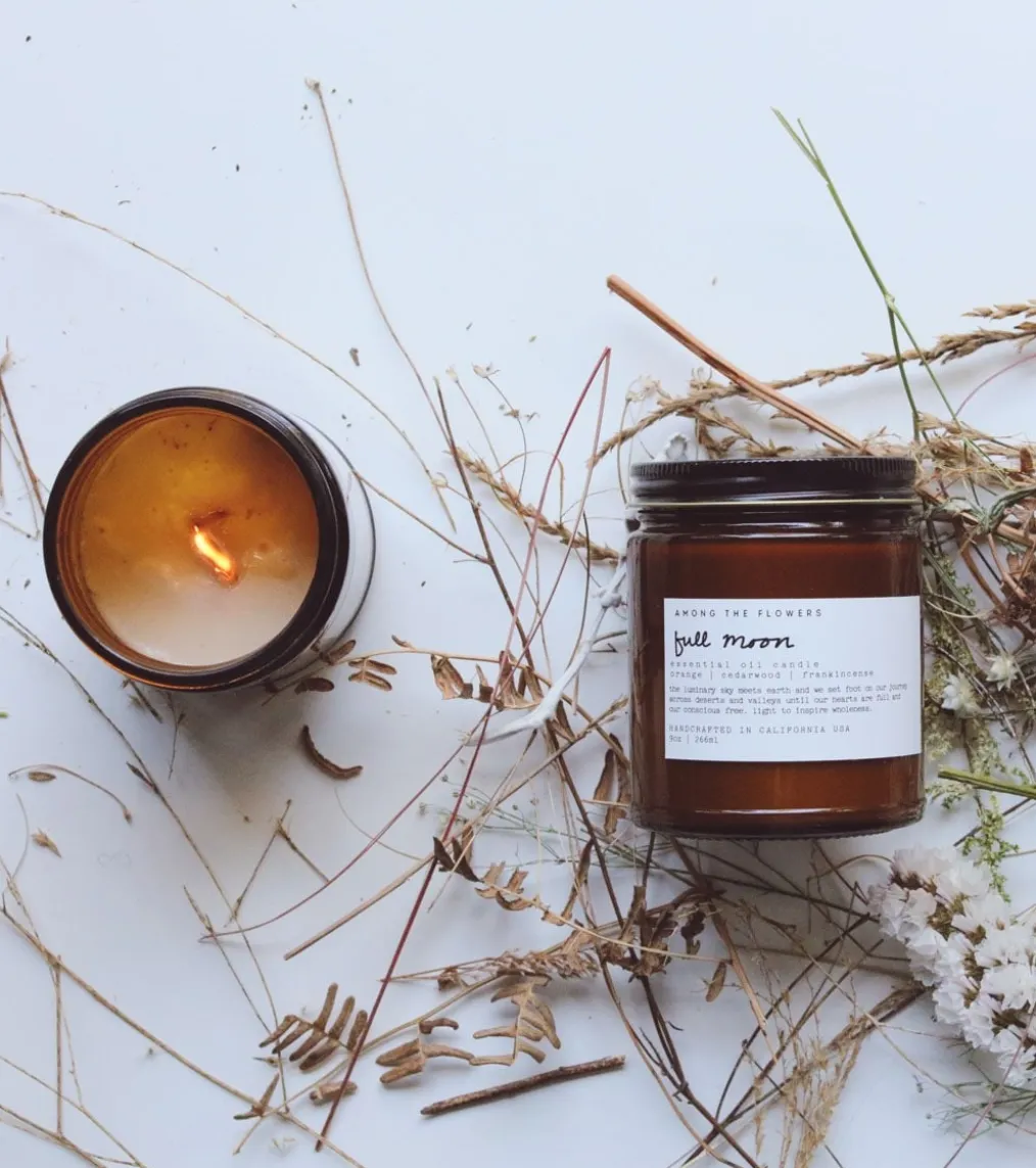 Among The Flowers Domes Palo Santo + Orange 9oz Candle