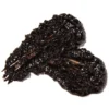 100% Pure Cocoa Coffee Body Scrub