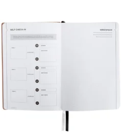 Sked Planner Small Rose Gold Planner
