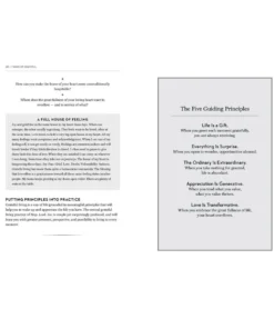 Workman Publishing Wake Up Grateful: The Transformative Practice of Taking Nothing for Granted