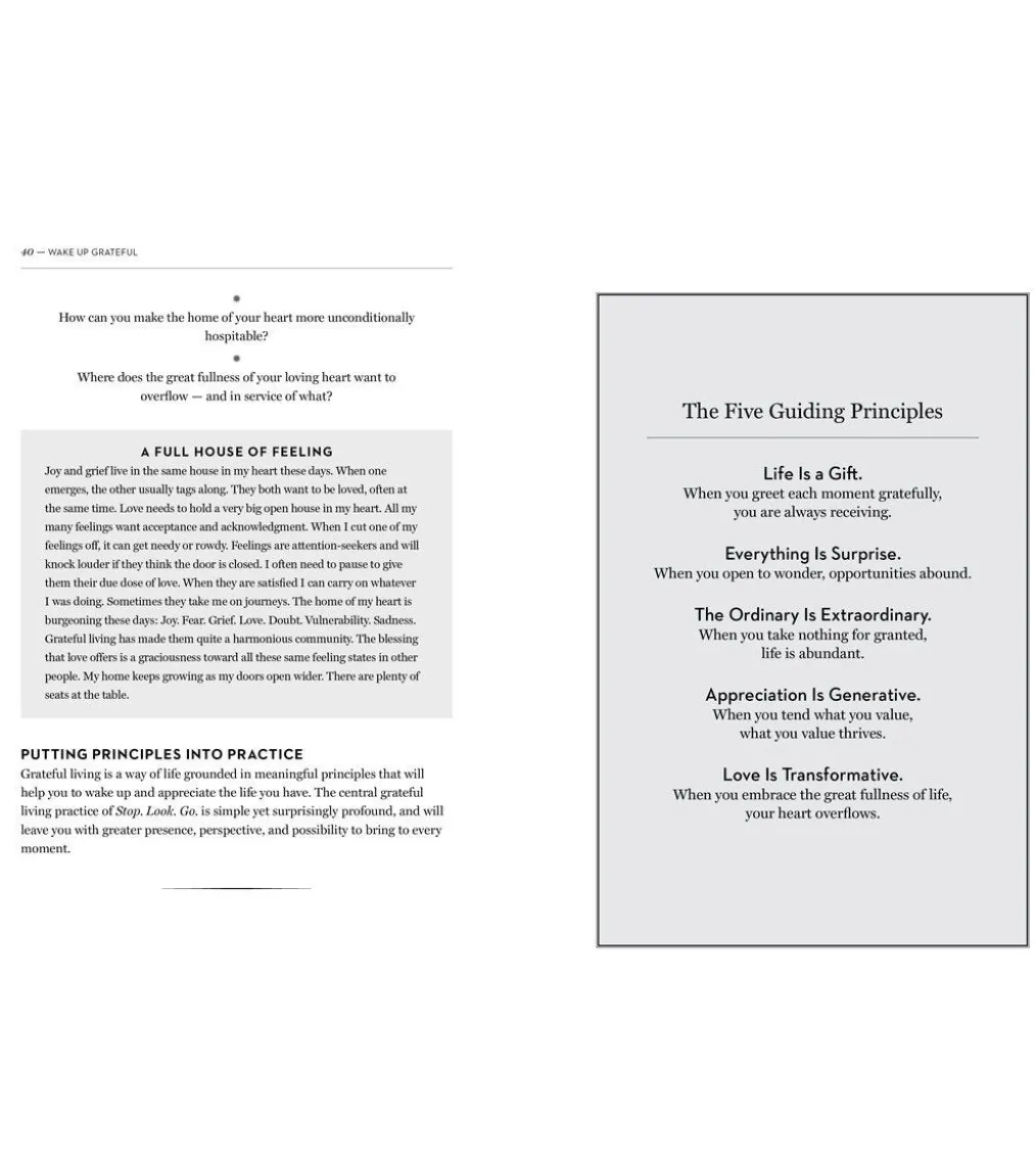 Workman Publishing Wake Up Grateful: The Transformative Practice of Taking Nothing for Granted