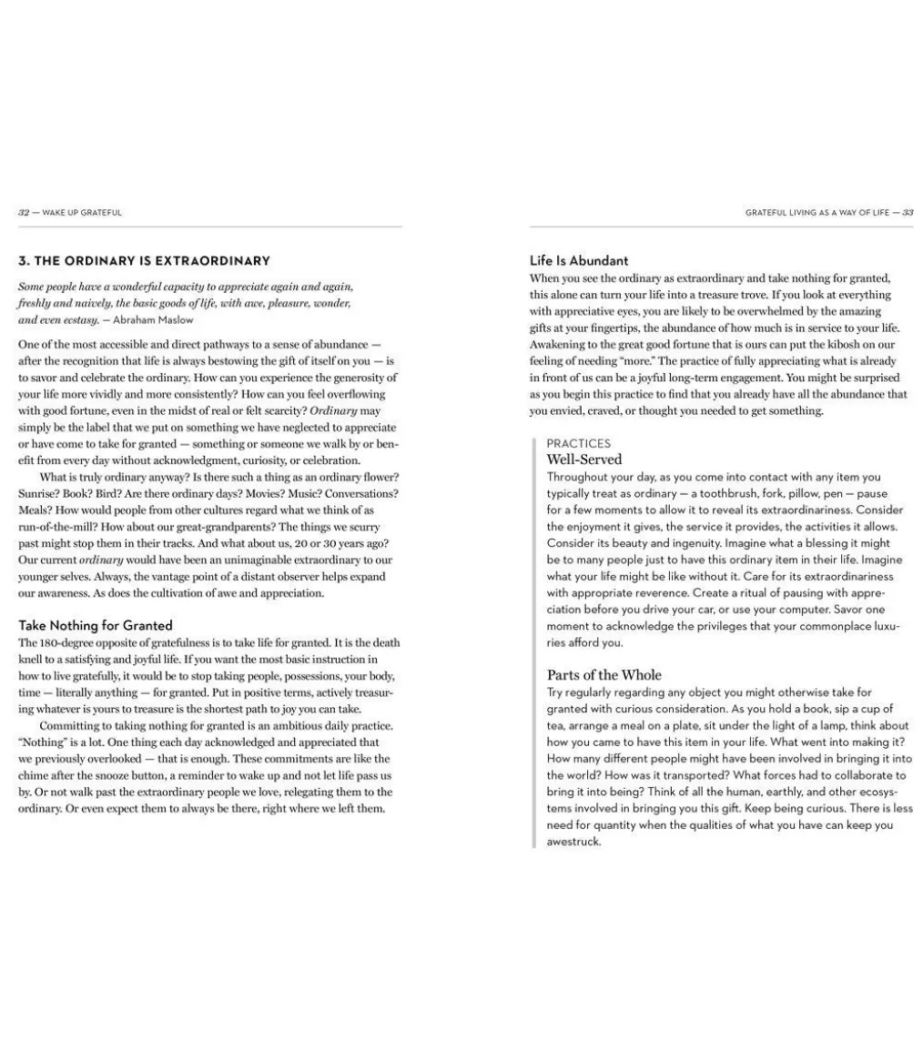 Workman Publishing Wake Up Grateful: The Transformative Practice of Taking Nothing for Granted